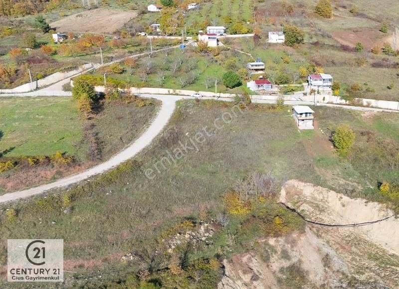 C21 Cius; Hamidiye Köyünde Satılık Yola Cepheli Tarla - Görsel 8