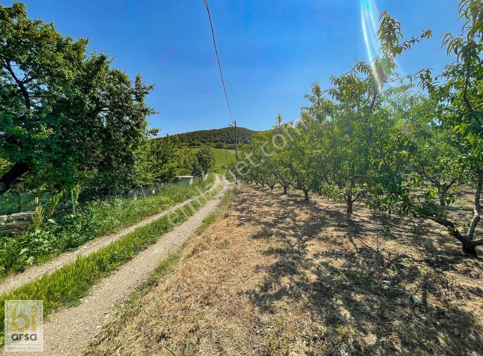 Lapsekide Denize Yakın 4.780m² Arsa !18 Adet Villa Projesi Hazır - Görsel 2