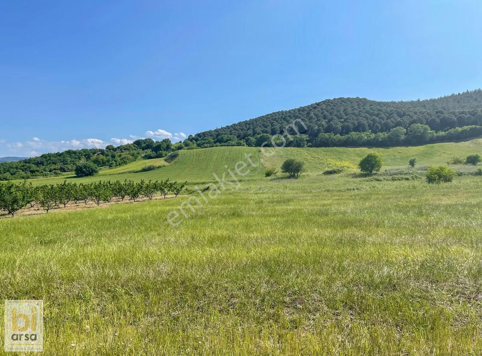 Lapsekide Denize Yakın 4.780m² Arsa !18 Adet Villa Projesi Hazır - Görsel 23