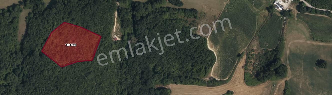 Arnavutköy Balabanda Satılık Arsa , 503 M2 Hisseli Yolu Var - Görsel 6