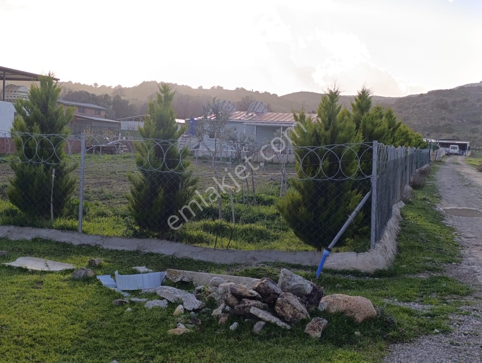 Foça Bucak Mevkiinde Satılık 1500m2 Hisse Tapulu Arazi - Görsel 2