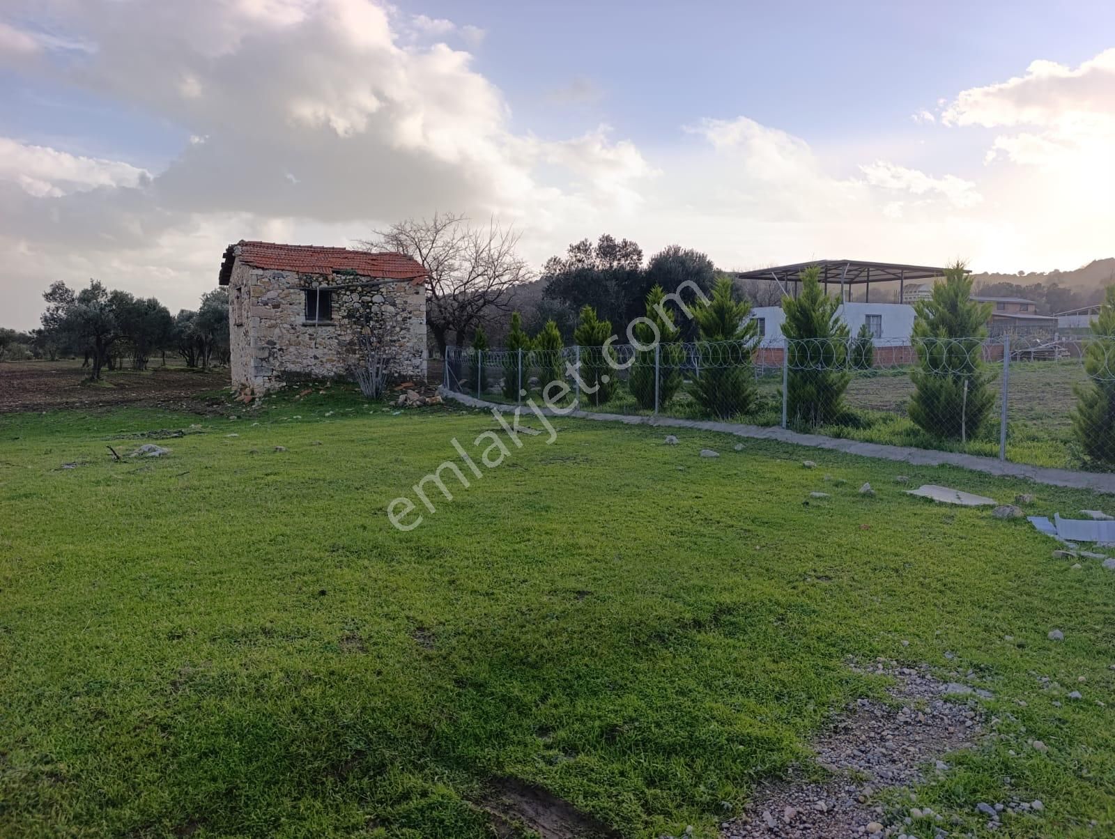 Foça Bucak Mevkiinde Satılık 1500m2 Hisse Tapulu Arazi - Görsel 13