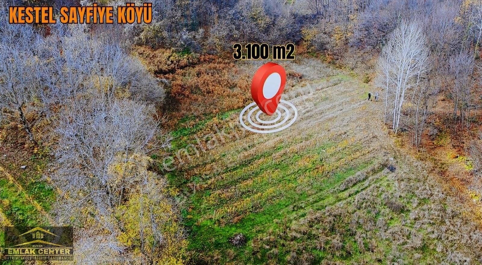 Kestel Sayfiyede Dogayla İçiçe 3100 M2 Tarla - Görsel 8