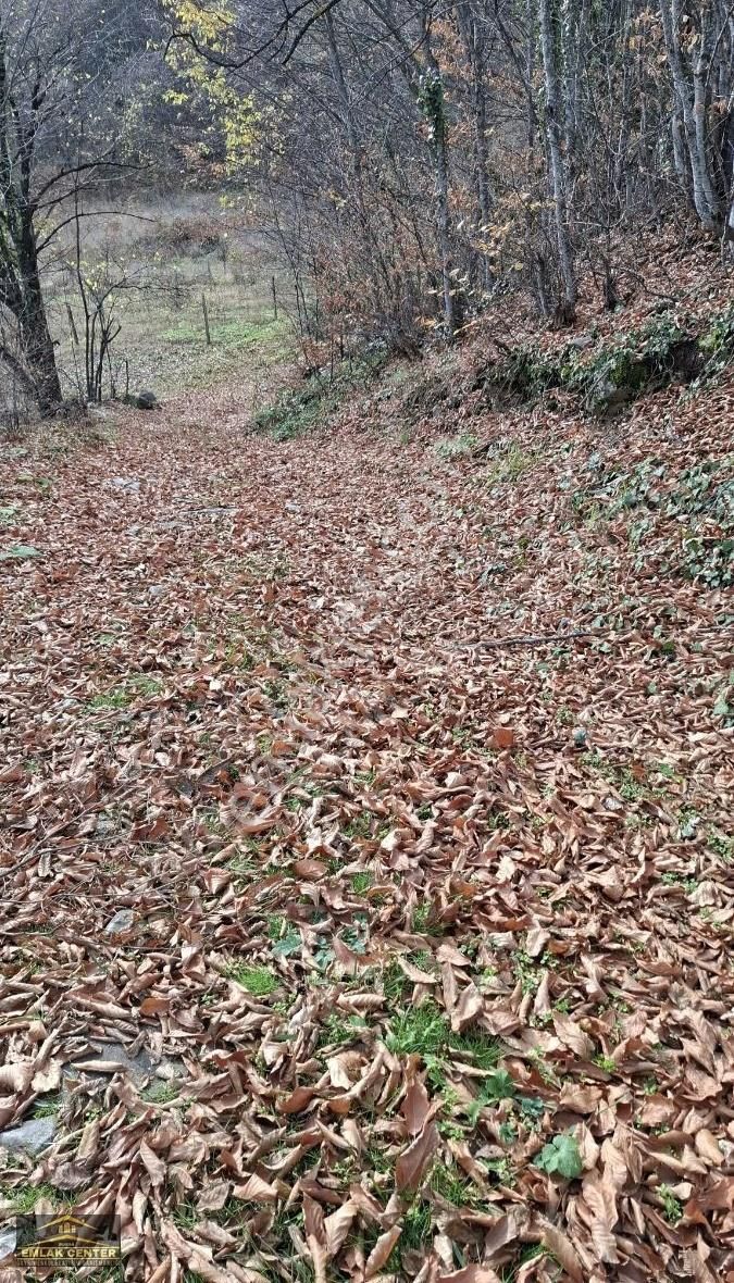 Kestel Sayfiyede Dogayla İçiçe 3100 M2 Tarla - Görsel 7