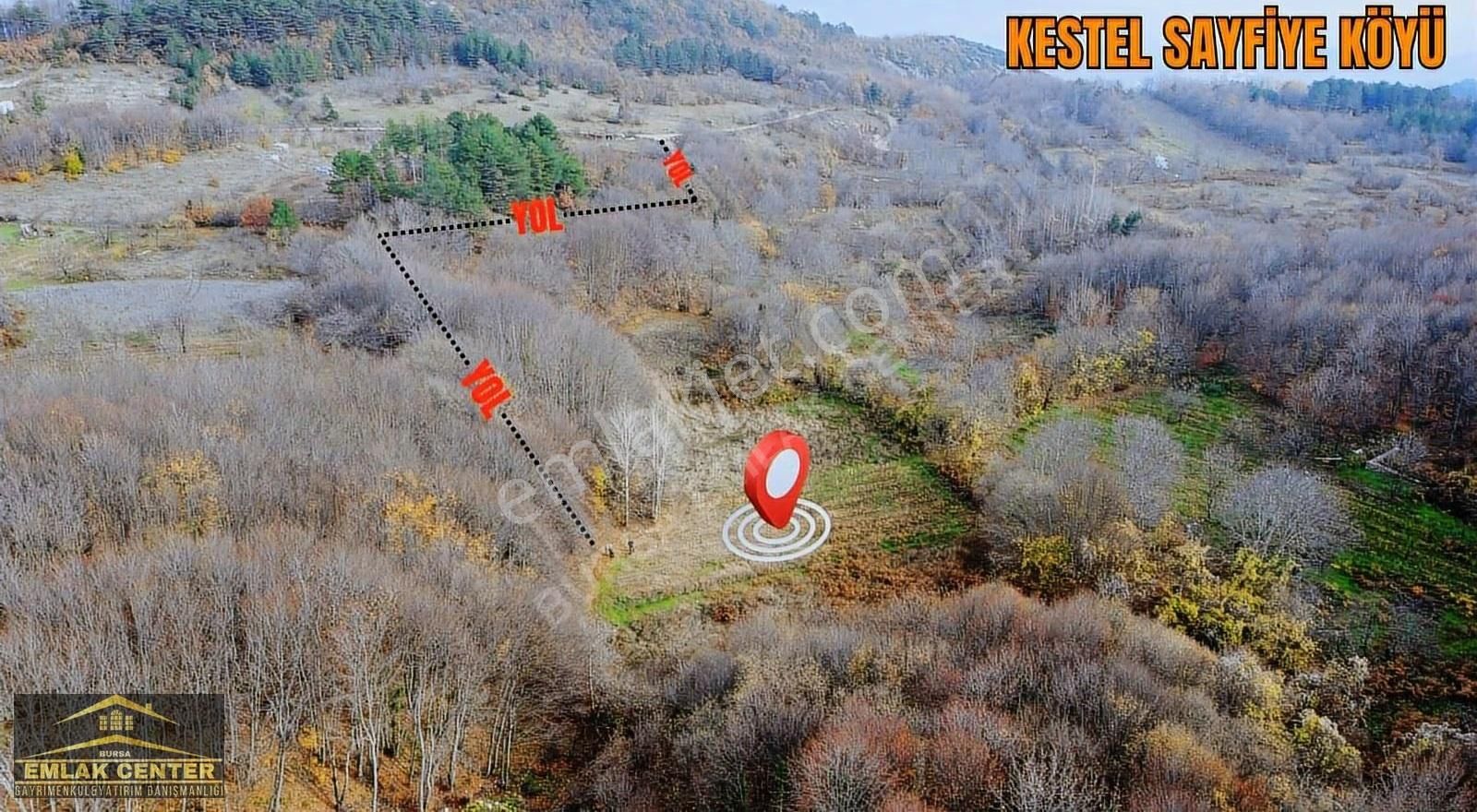 Kestel Sayfiyede Dogayla İçiçe 3100 M2 Tarla