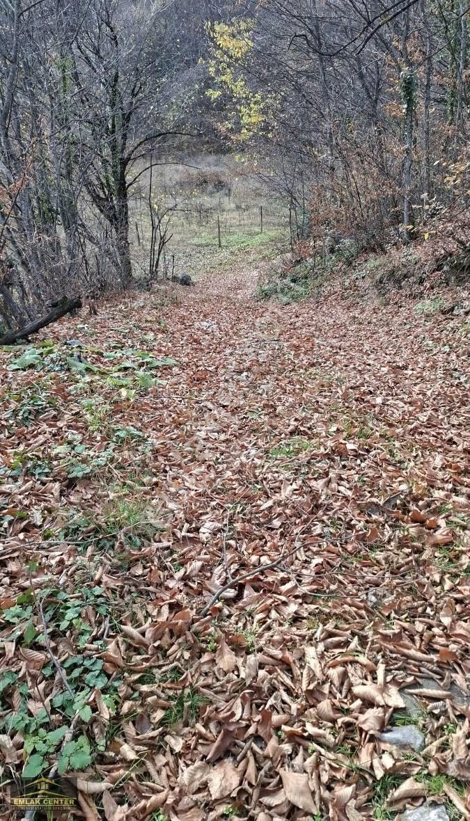 Kestel Sayfiyede Dogayla İçiçe 3100 M2 Tarla - Görsel 3