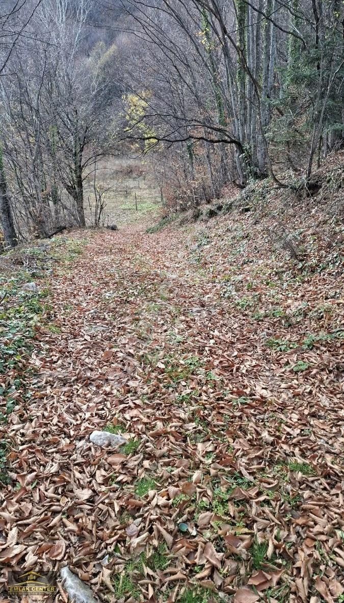 Kestel Sayfiyede Dogayla İçiçe 3100 M2 Tarla - Görsel 2