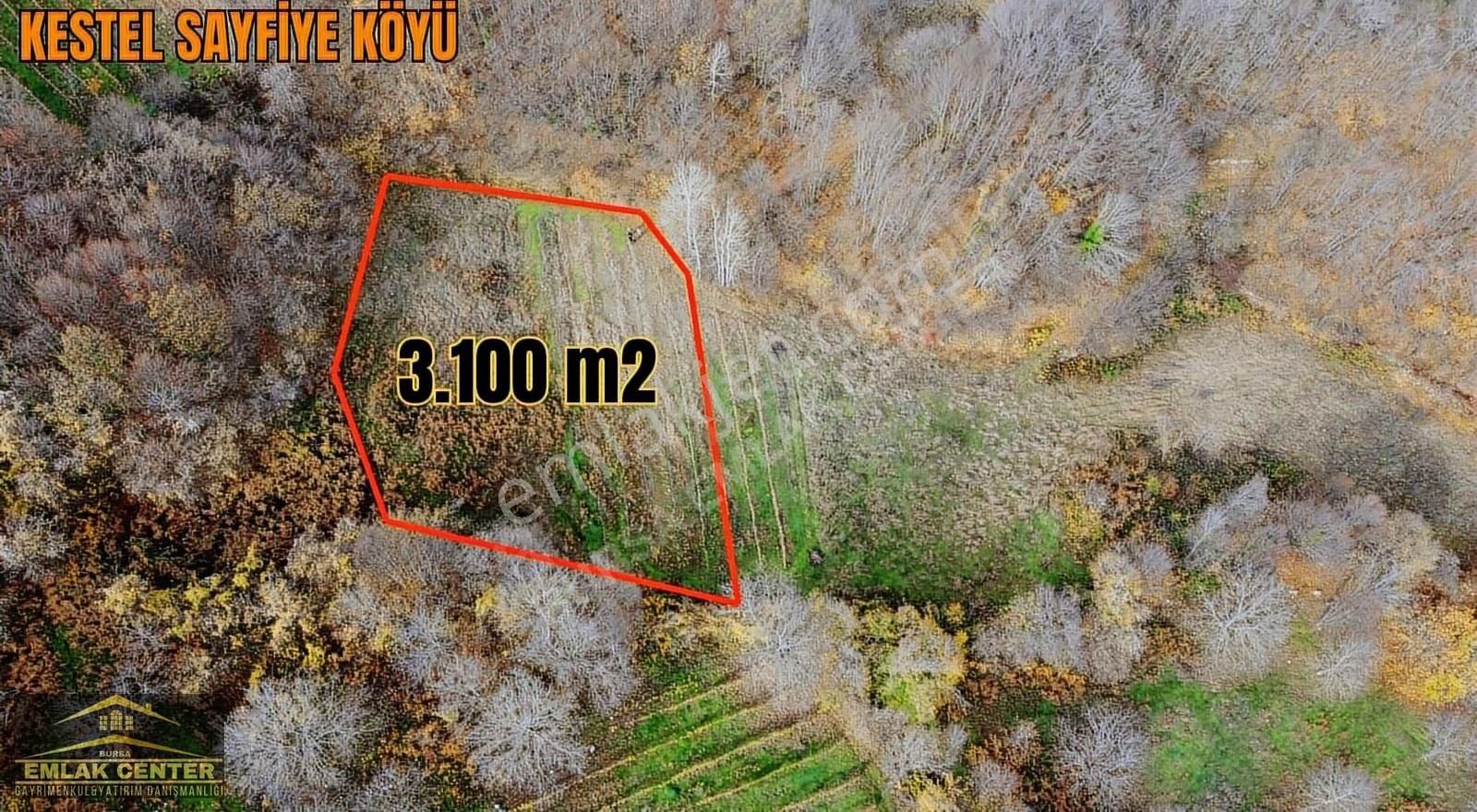 Kestel Sayfiyede Dogayla İçiçe 3100 M2 Tarla - Görsel 9