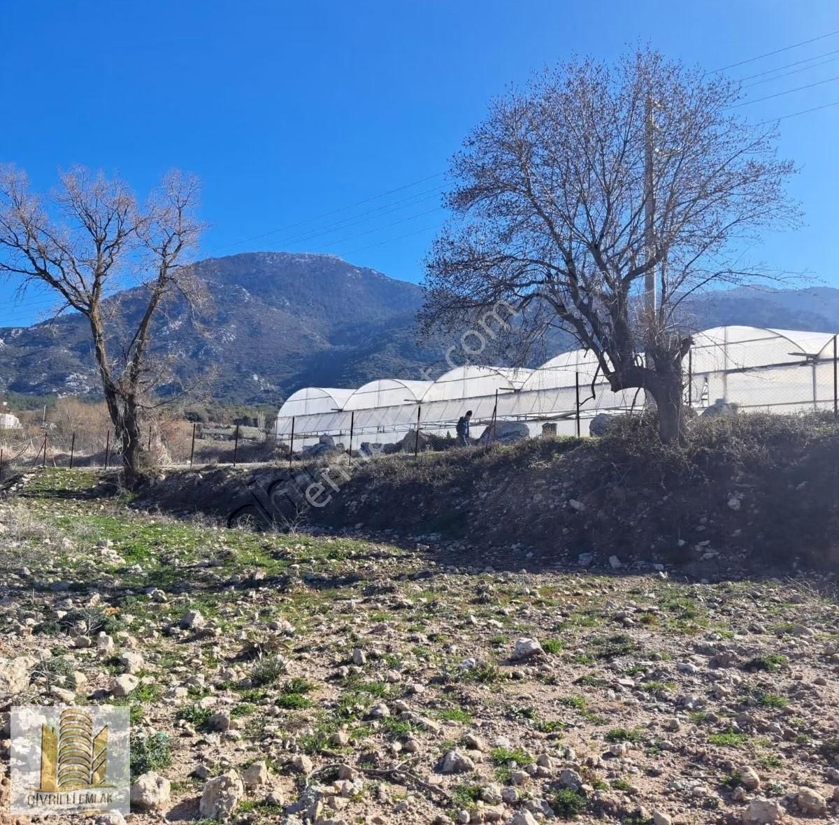 Muğla Seydikemerde İçerisinde Konteyner Bulunan Arazimiz Satılık - Görsel 6
