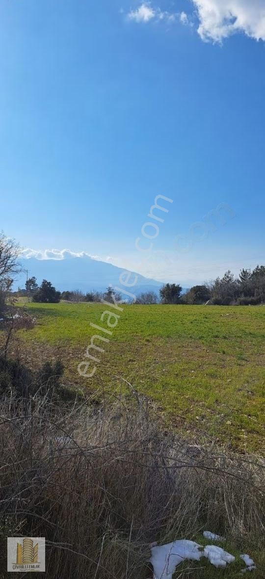 Muğla Seydikemerde İçerisinde Konteyner Bulunan Arazimiz Satılık - Görsel 3