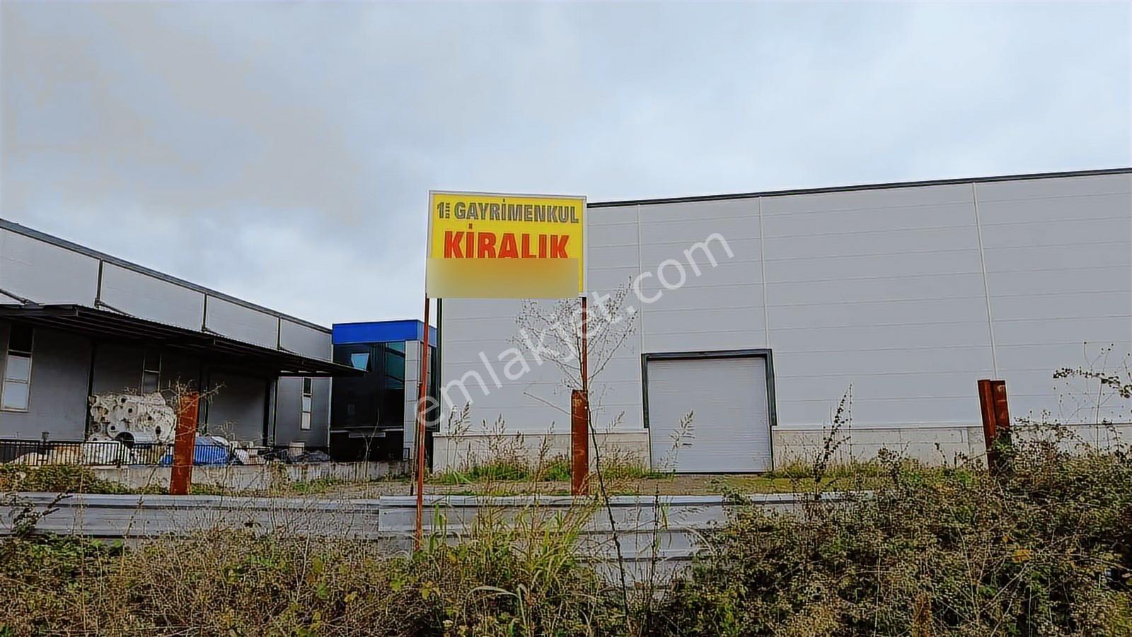 Artvin Sanayinde 1300 M² Üretim Tesisi&depo