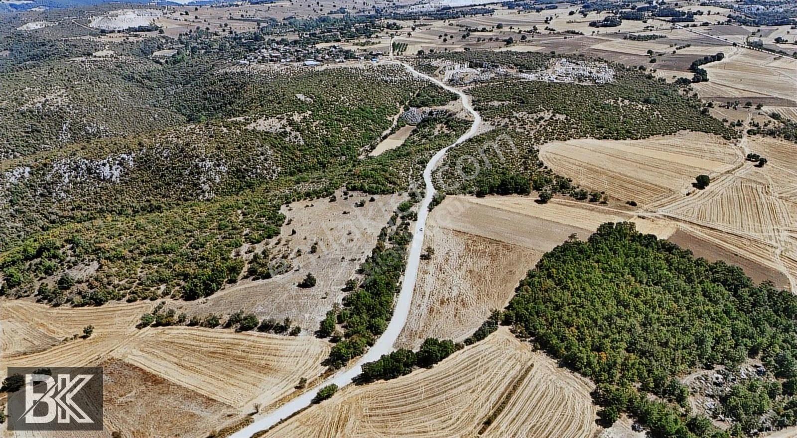 Bilecik Merkez Kınık'ta 7.350 M² Müstakil Tapulu Çiftlik Arazisi - Görsel 19