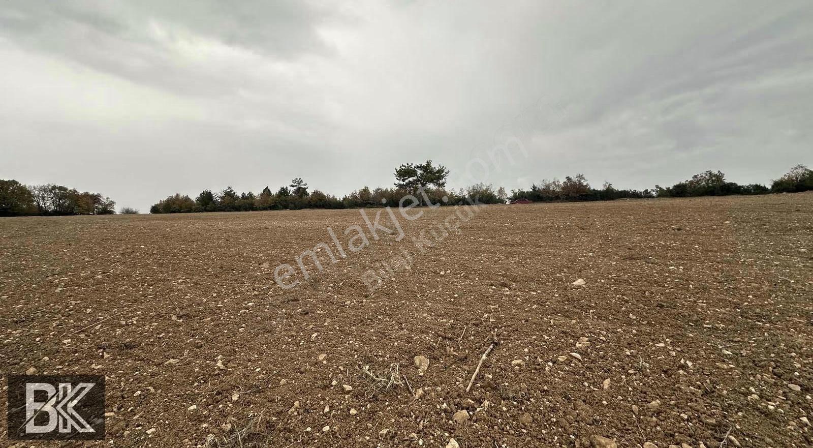 Bilecik Merkez Kınık'ta 7.350 M² Müstakil Tapulu Çiftlik Arazisi - Görsel 12