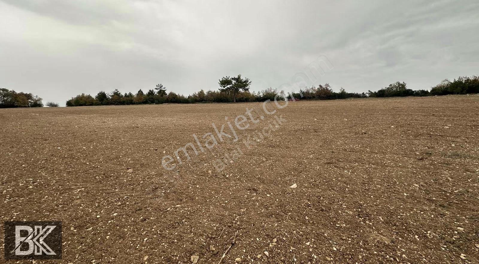Bilecik Merkez Kınık'ta 7.350 M² Müstakil Tapulu Çiftlik Arazisi - Görsel 23