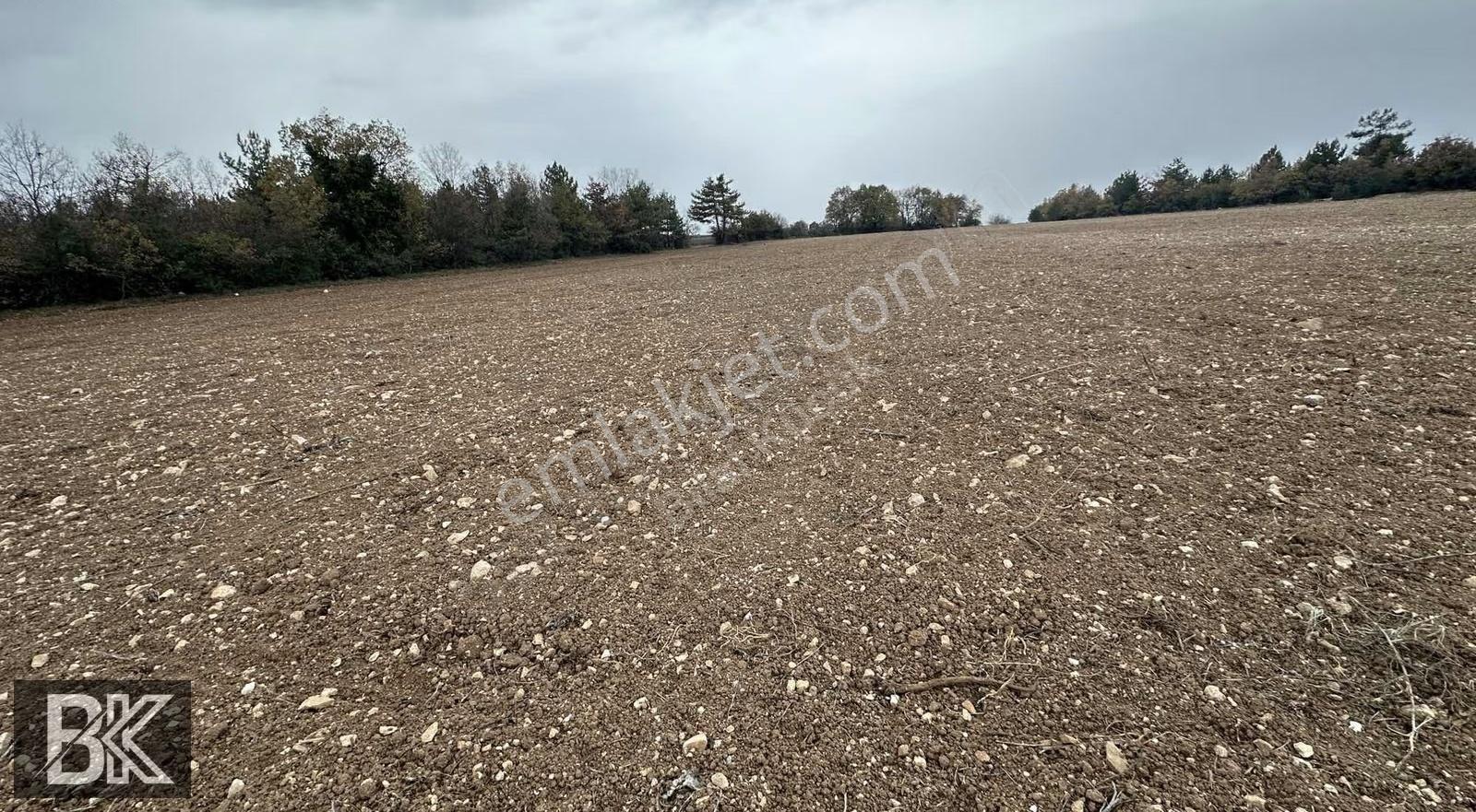 Bilecik Merkez Kınık'ta 7.350 M² Müstakil Tapulu Çiftlik Arazisi - Görsel 6