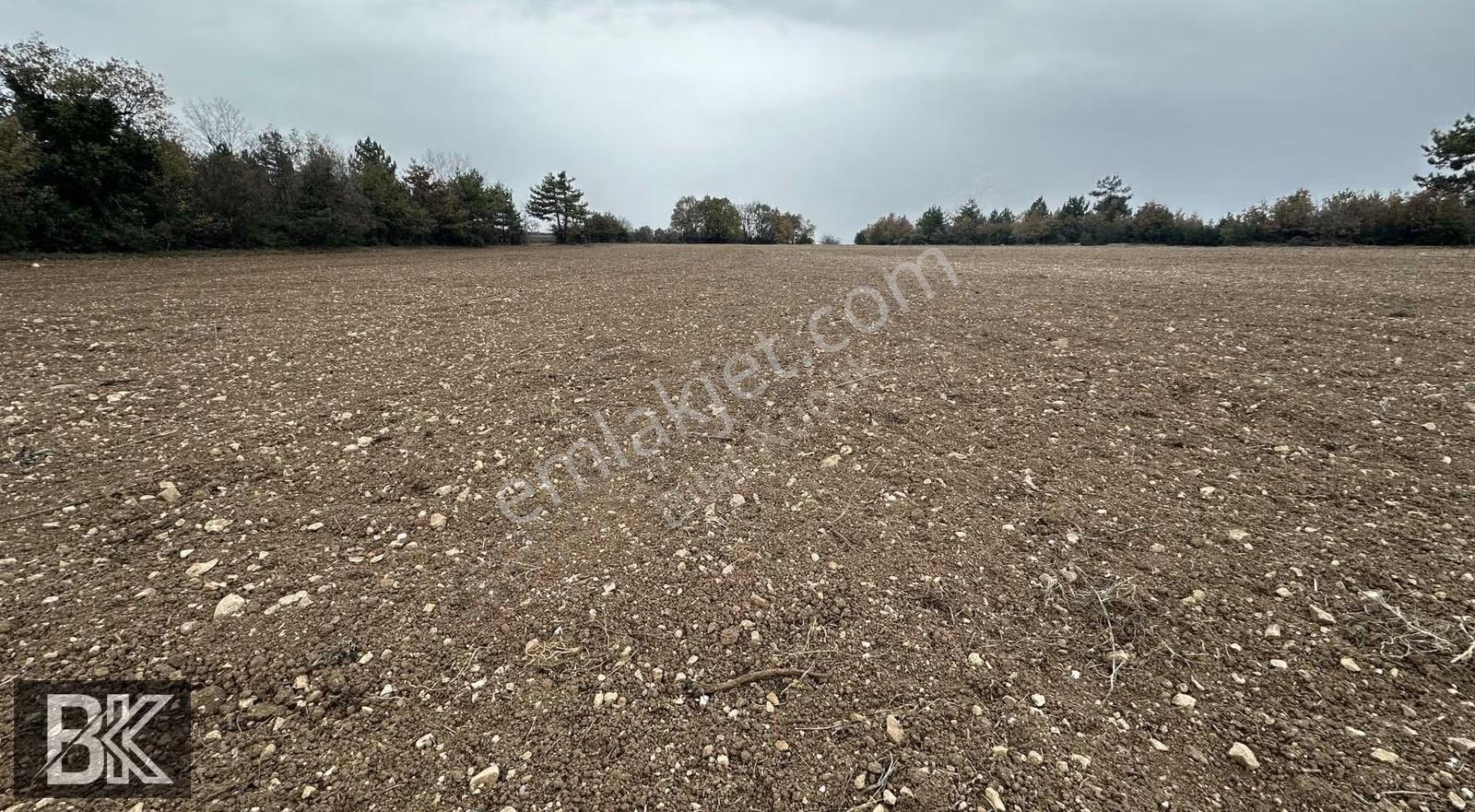 Bilecik Merkez Kınık'ta 7.350 M² Müstakil Tapulu Çiftlik Arazisi - Görsel 16