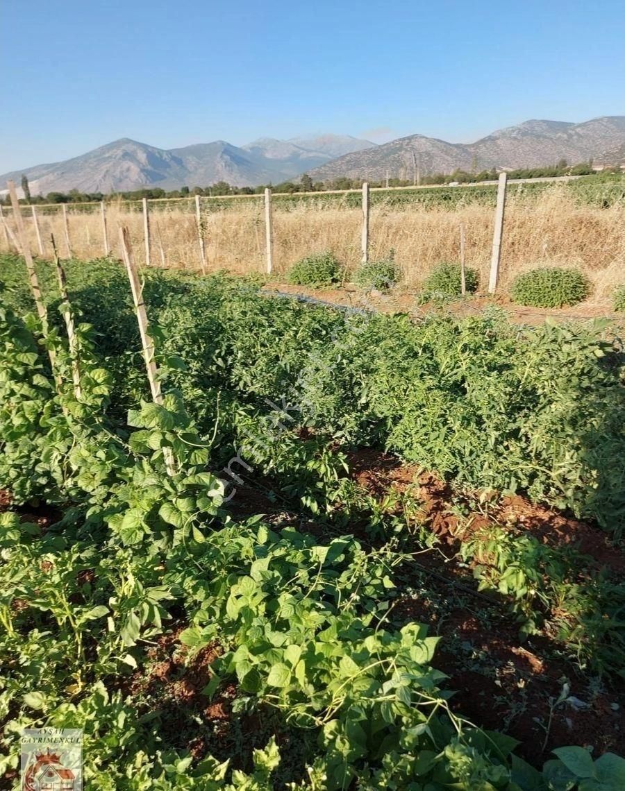 Ayşah'tan Tavas Garipköy Ve Ulukent'in Arasında Satılık Tarla - Görsel 22