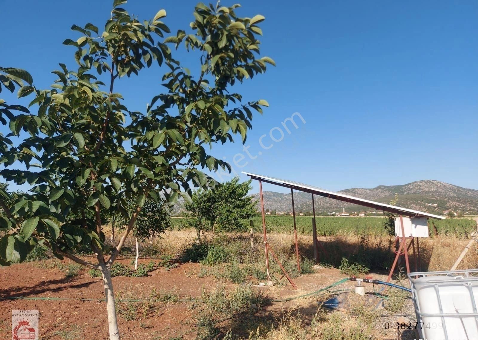 Ayşah'tan Tavas Garipköy Ve Ulukent'in Arasında Satılık Tarla - Görsel 3