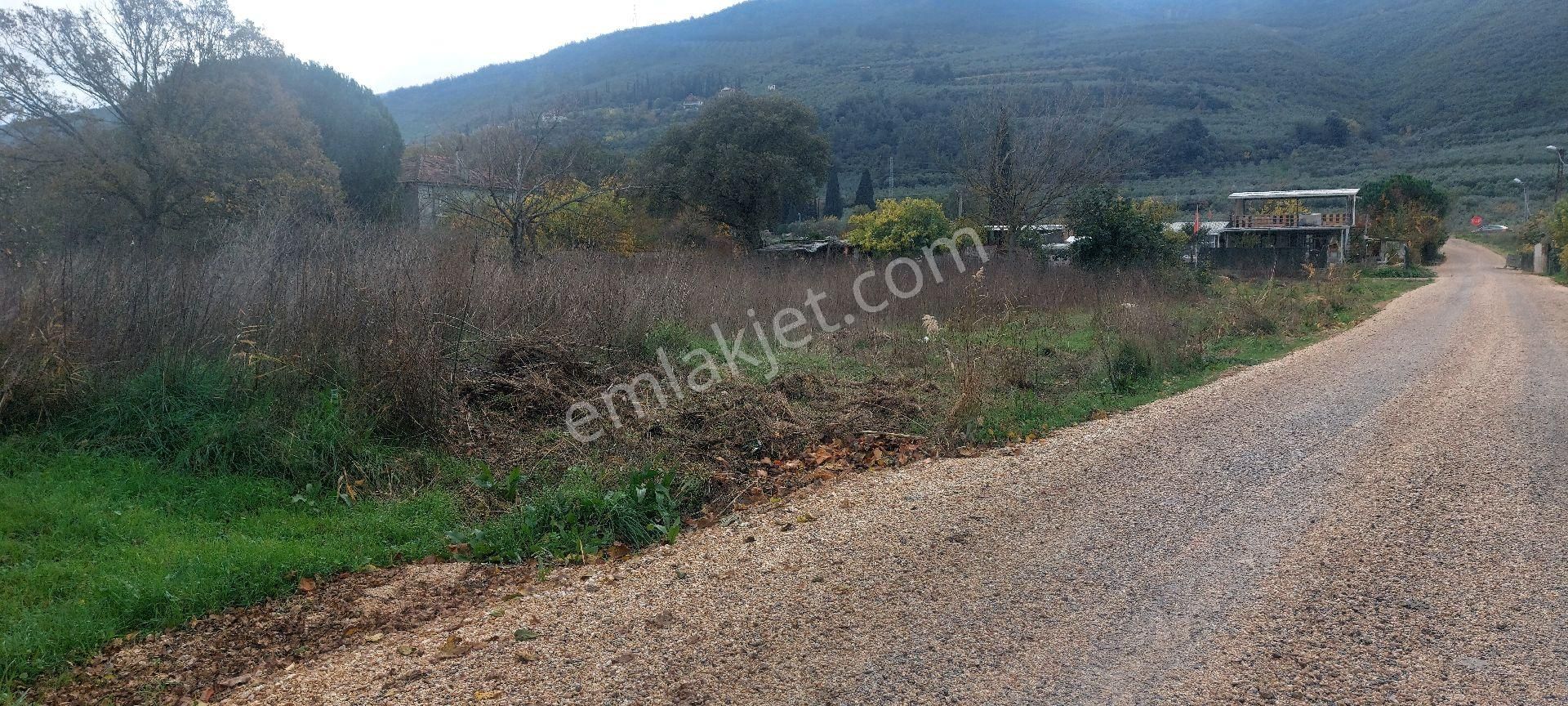 Gemlik /genç Ali Mahallesi Müstakil Tarla - Görsel 18