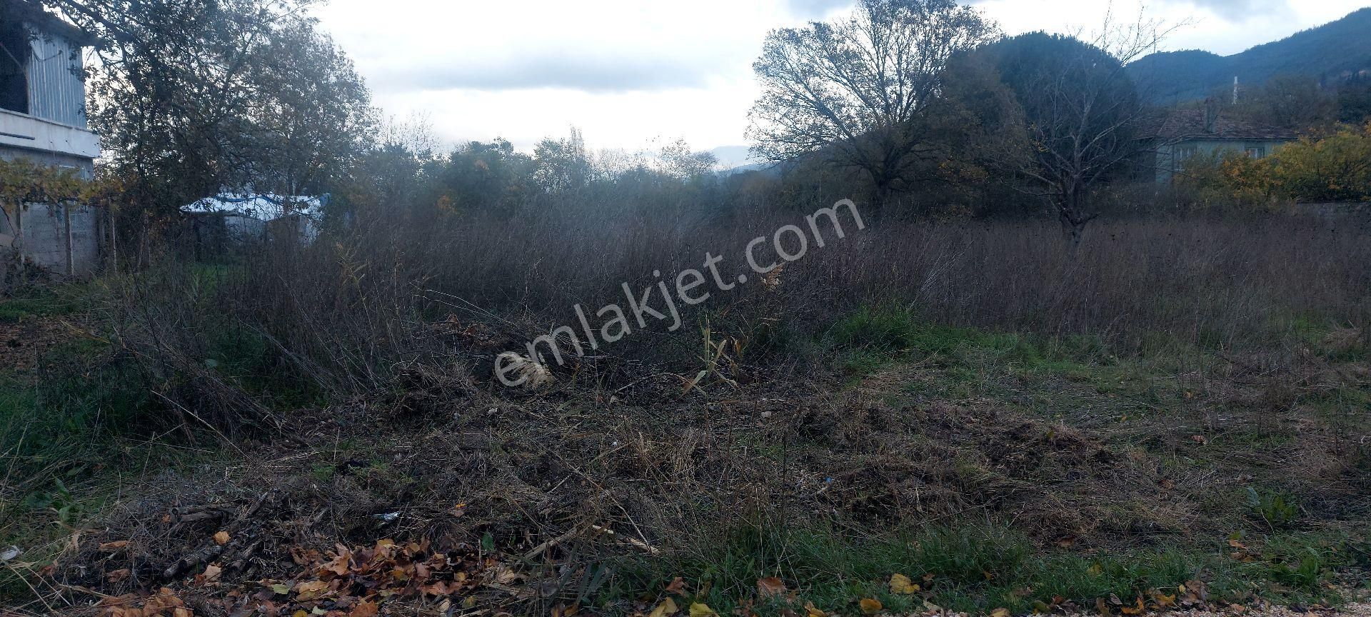 Gemlik /genç Ali Mahallesi Müstakil Tarla - Görsel 10