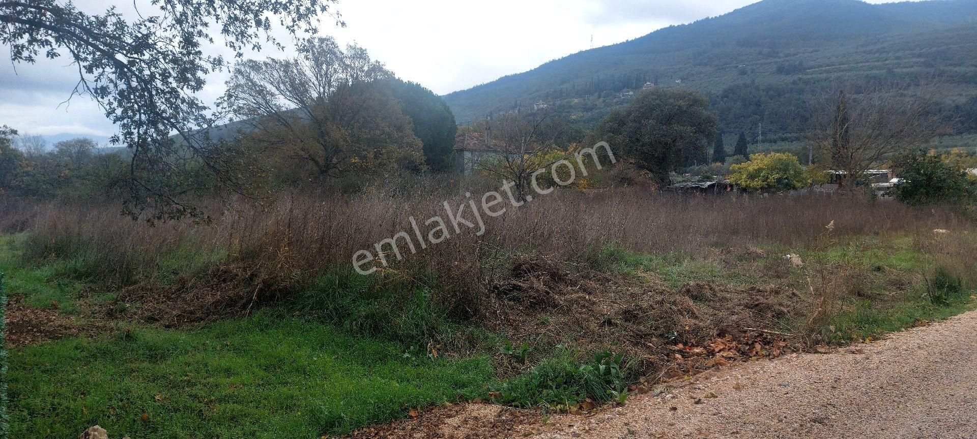 Gemlik /genç Ali Mahallesi Müstakil Tarla - Görsel 19