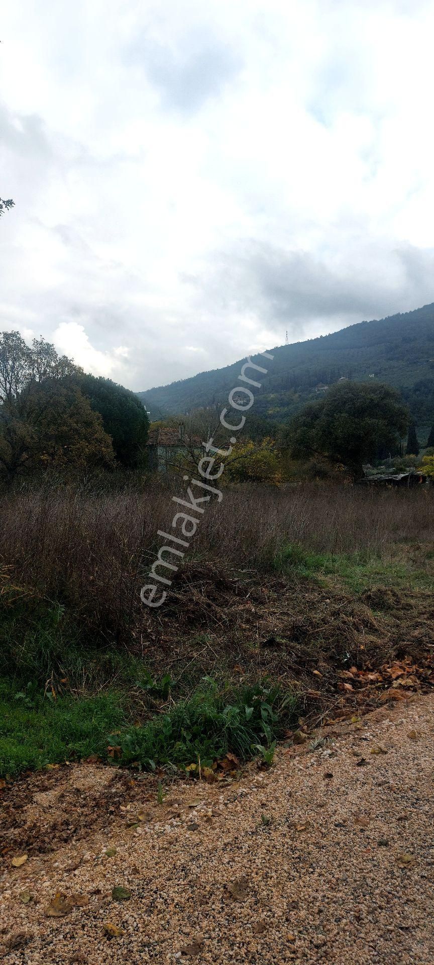 Gemlik /genç Ali Mahallesi Müstakil Tarla - Görsel 17