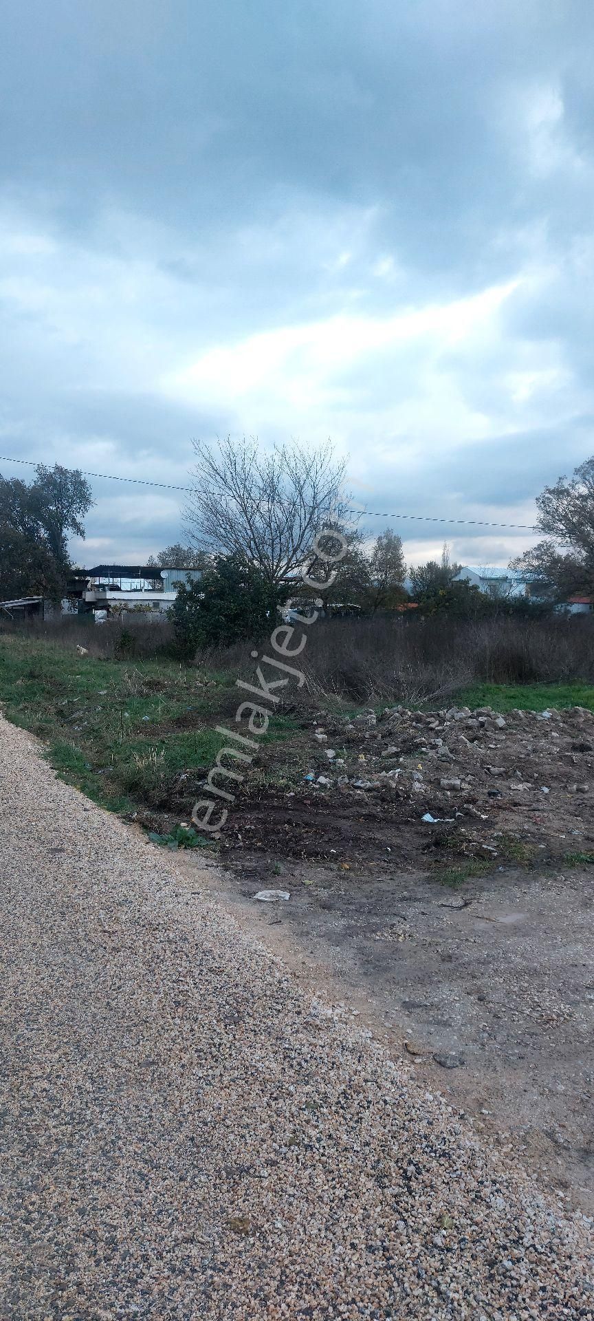 Gemlik /genç Ali Mahallesi Müstakil Tarla - Görsel 8