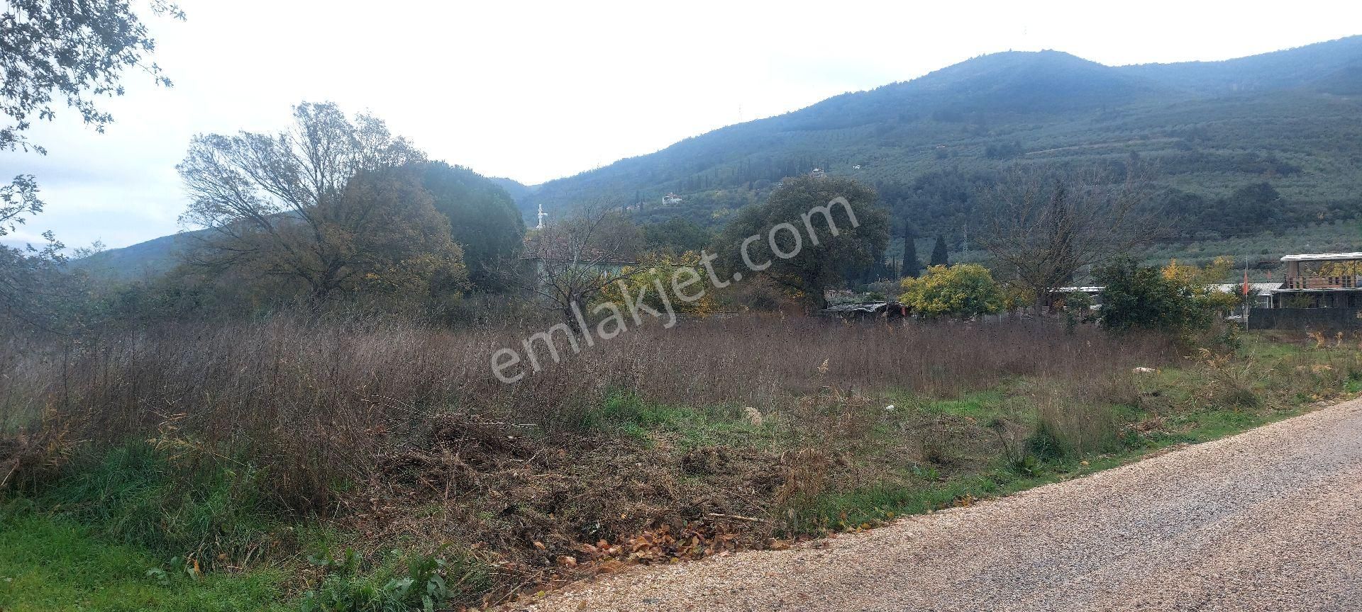 Gemlik /genç Ali Mahallesi Müstakil Tarla - Görsel 16