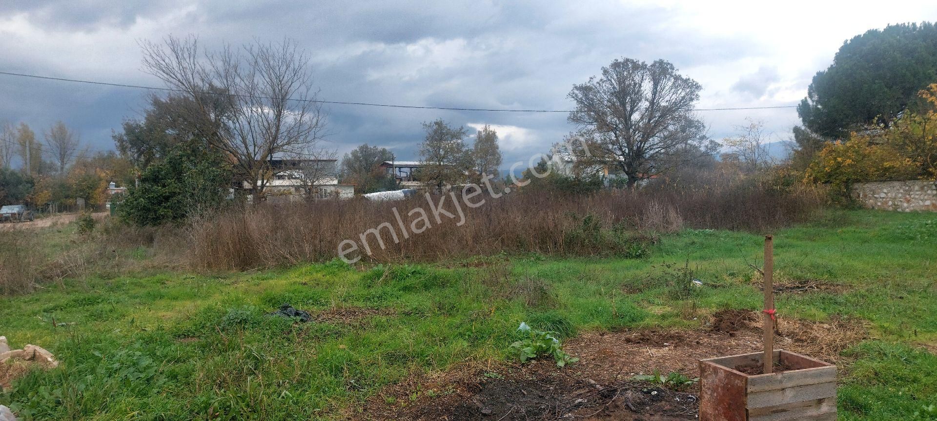 Gemlik /genç Ali Mahallesi Müstakil Tarla - Görsel 23