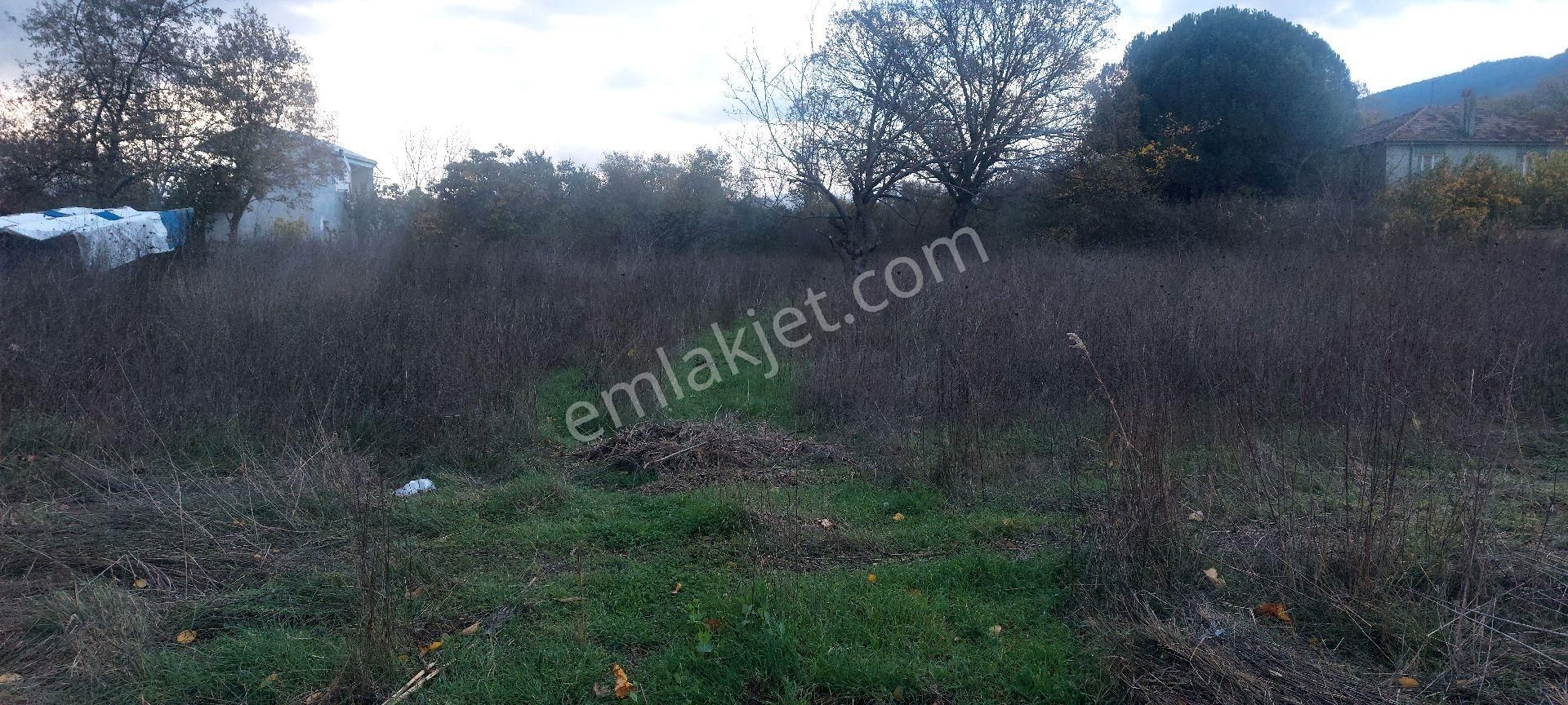 Gemlik /genç Ali Mahallesi Müstakil Tarla - Görsel 11