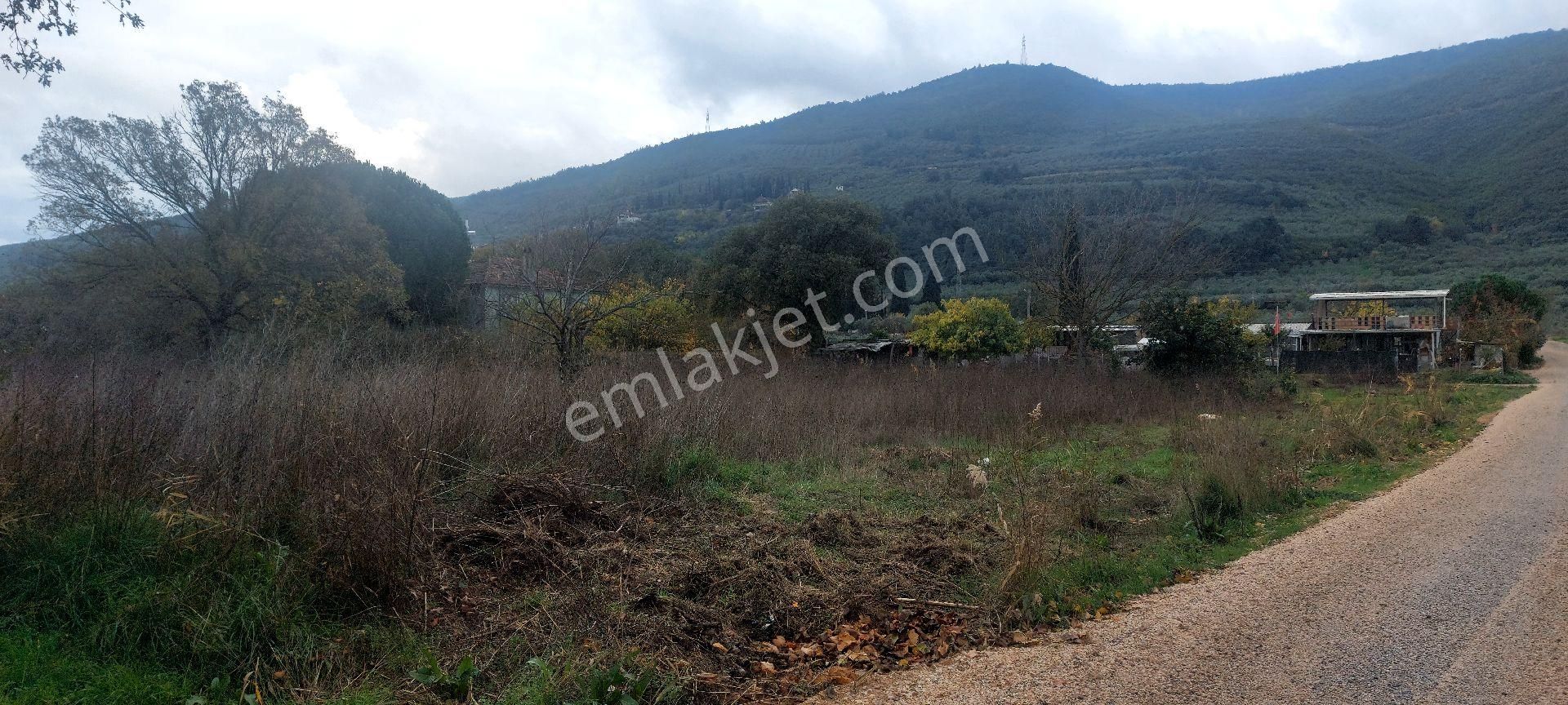 Gemlik /genç Ali Mahallesi Müstakil Tarla