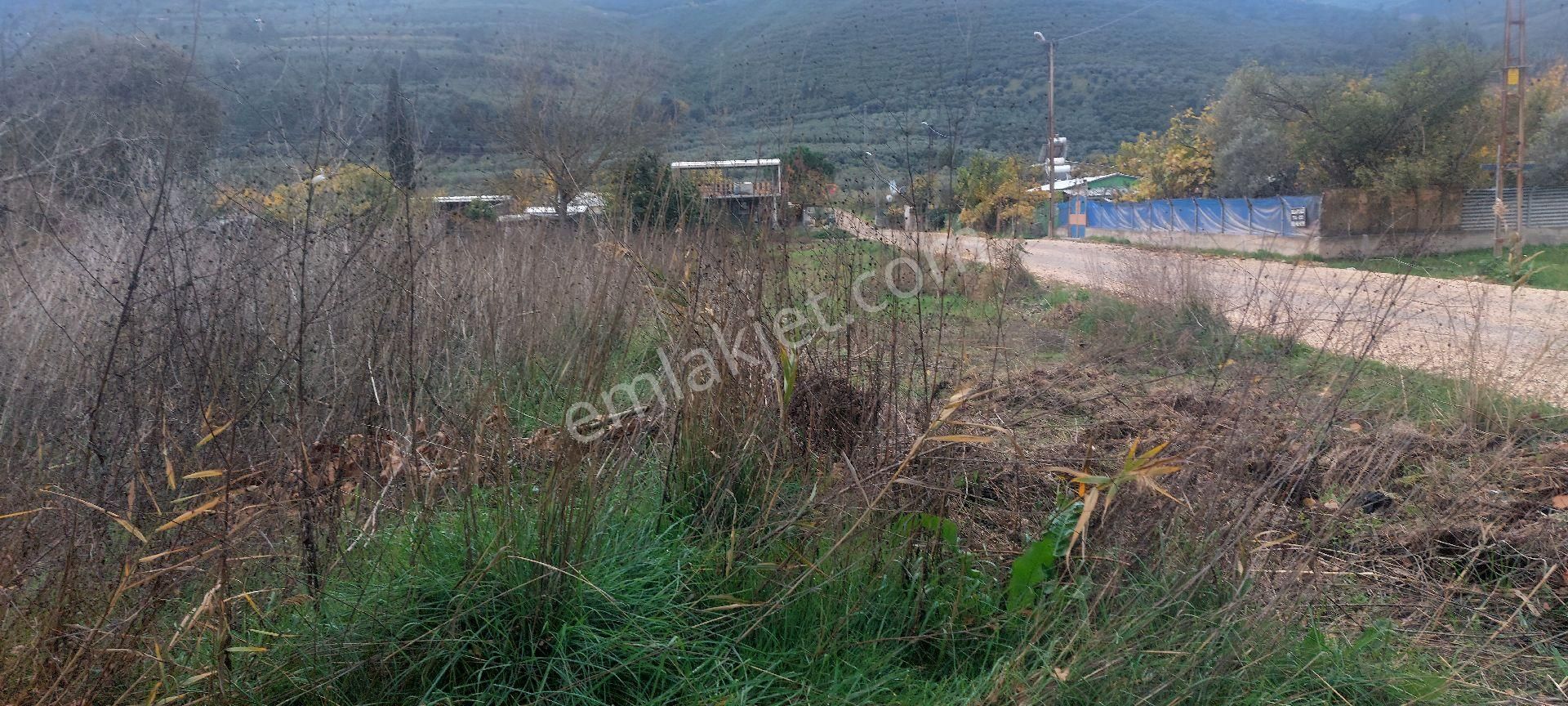 Gemlik /genç Ali Mahallesi Müstakil Tarla - Görsel 14