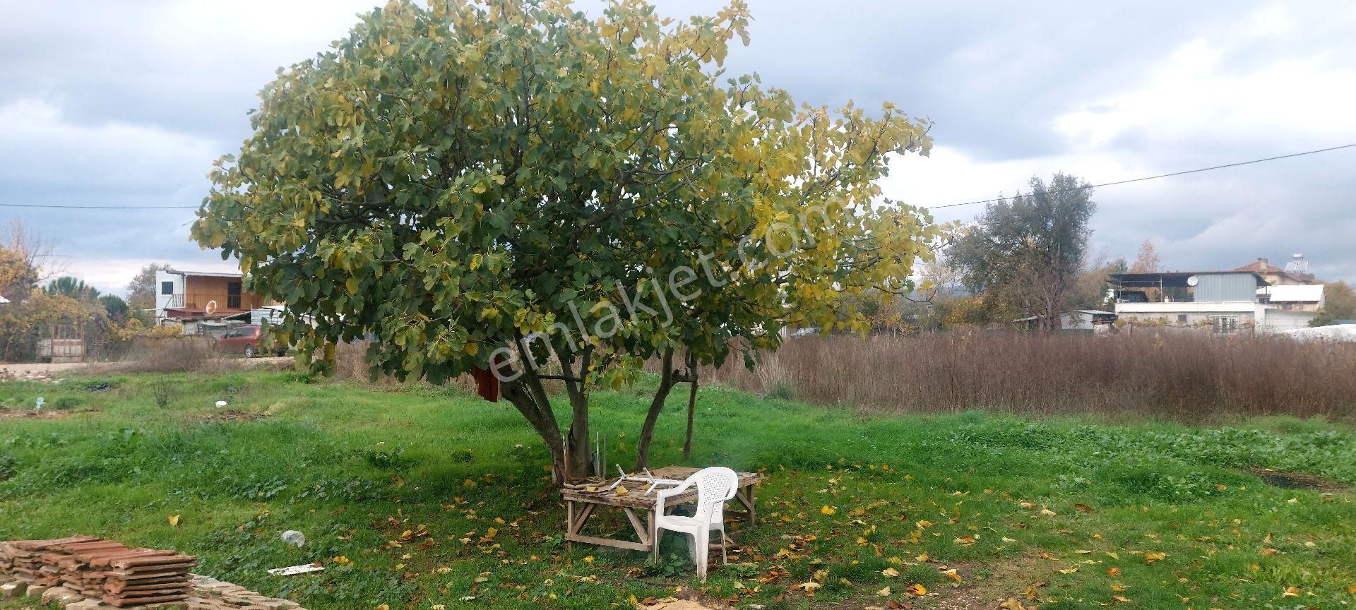 Gemlik /genç Ali Mahallesi Müstakil Tarla - Görsel 20