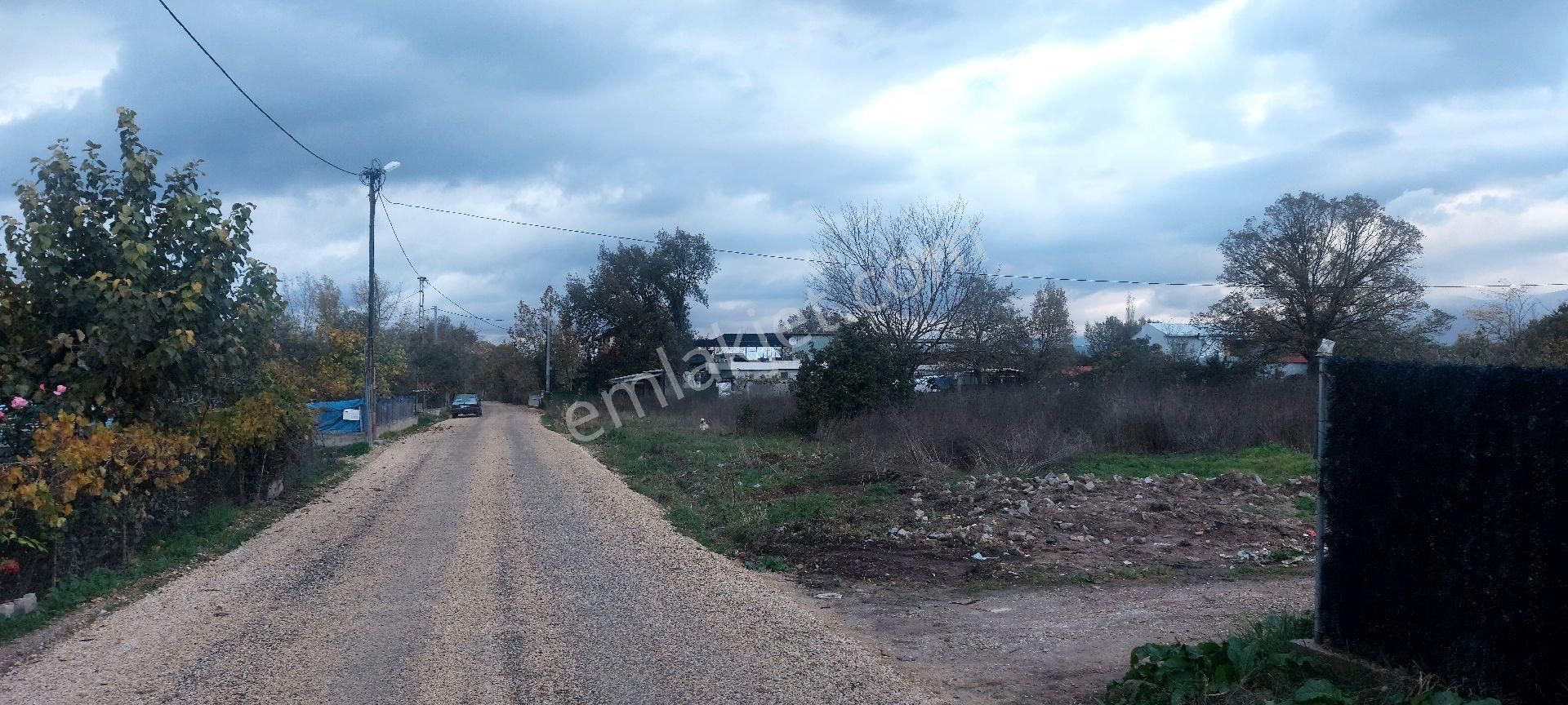 Gemlik /genç Ali Mahallesi Müstakil Tarla - Görsel 7