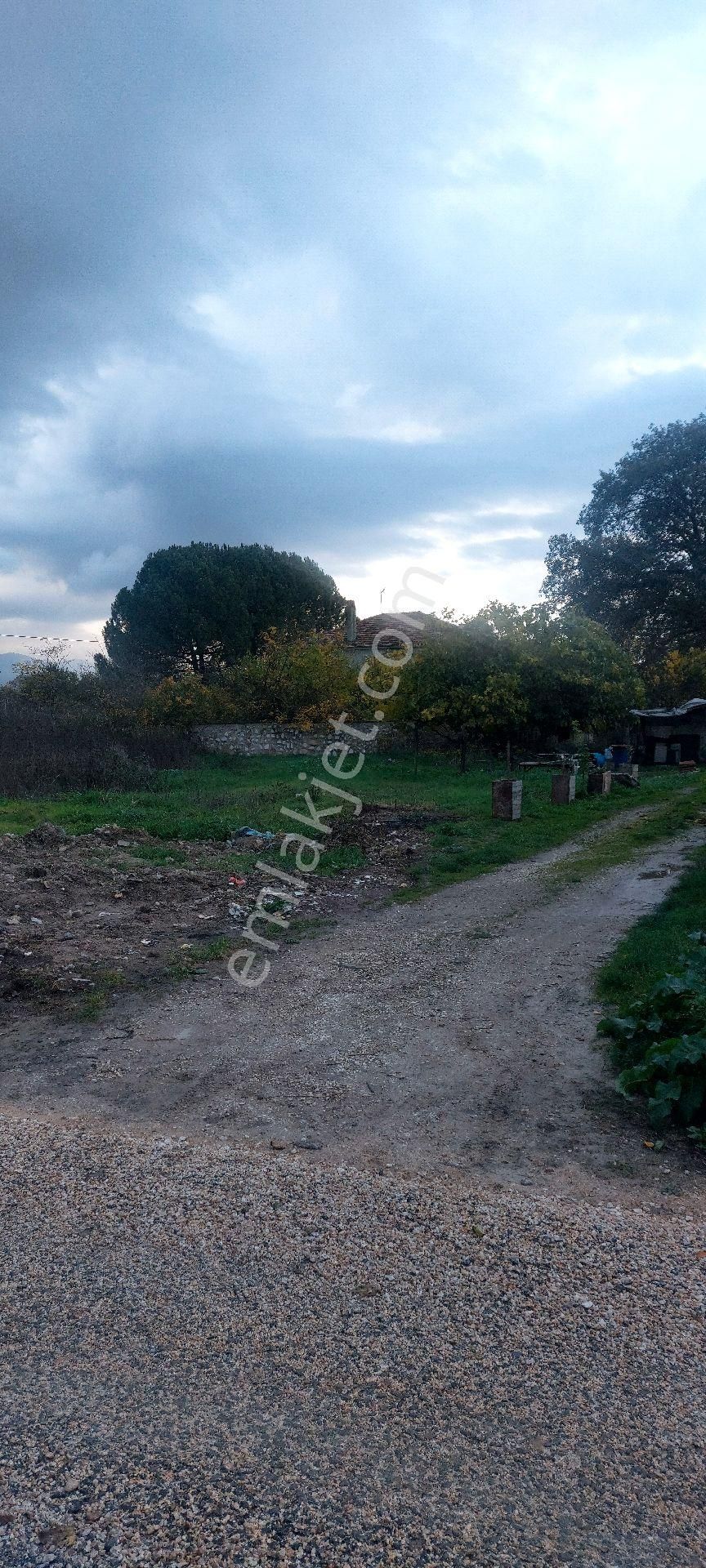 Gemlik /genç Ali Mahallesi Müstakil Tarla - Görsel 6