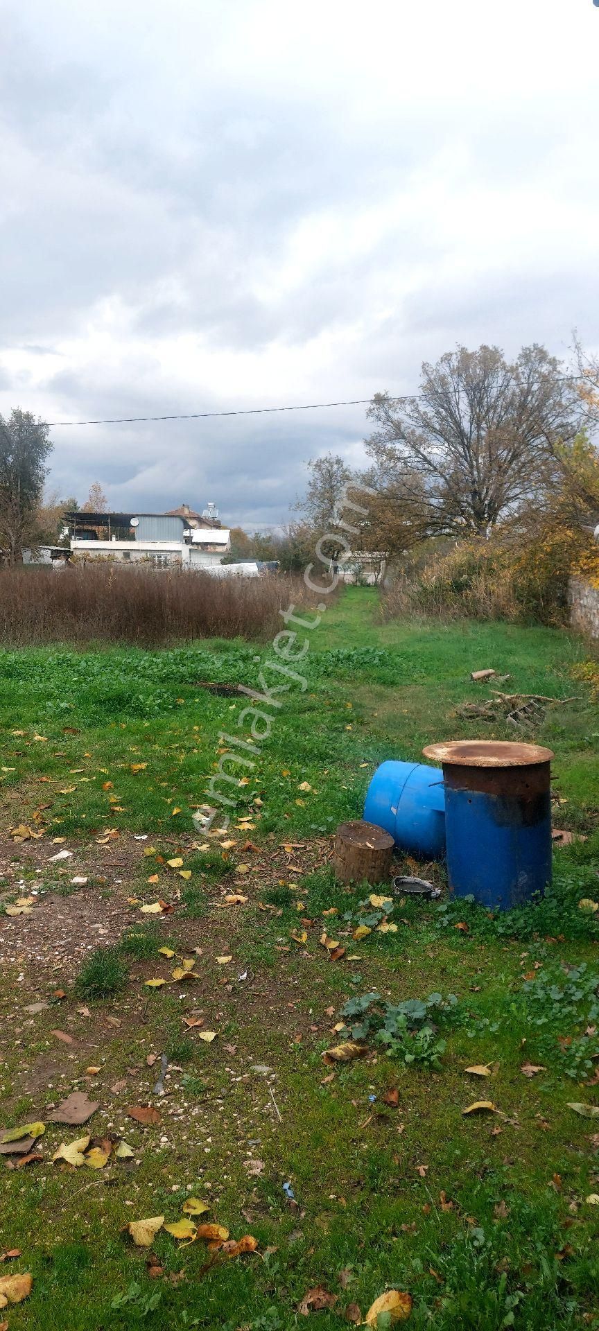 Gemlik /genç Ali Mahallesi Müstakil Tarla - Görsel 22