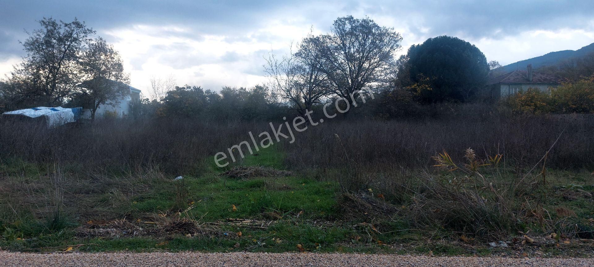 Gemlik /genç Ali Mahallesi Müstakil Tarla - Görsel 12