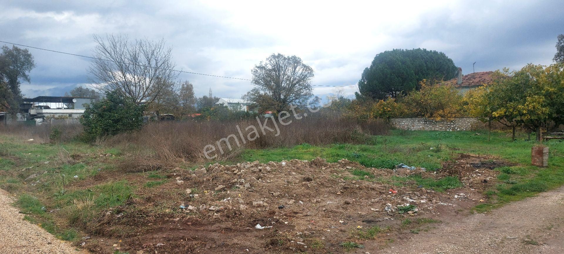 Gemlik /genç Ali Mahallesi Müstakil Tarla - Görsel 21