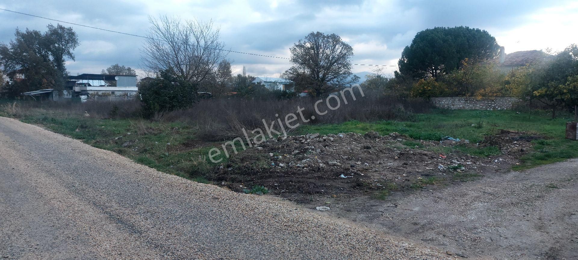 Gemlik /genç Ali Mahallesi Müstakil Tarla - Görsel 5