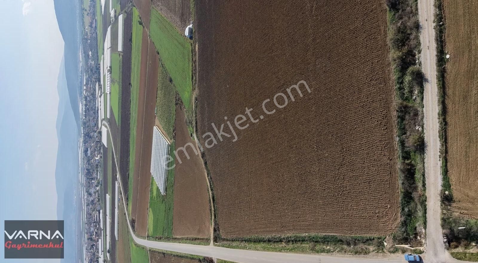 Menderes Sancaklı Satılık 4705 Köşe Tek Müstakil Tapu - Görsel 16