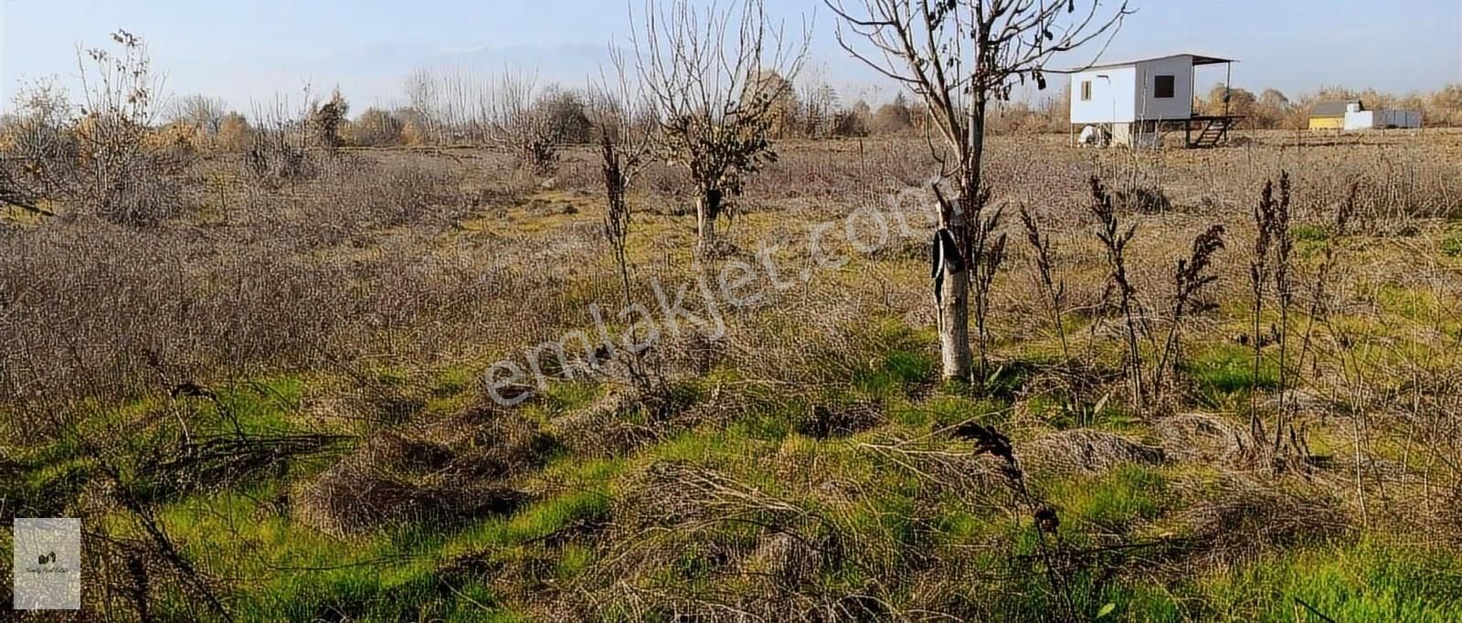 İnegöl Kurşunlu Mah Hasanpaşa Mevkiinde Satılık 2 Adet Bahçe - Görsel 4