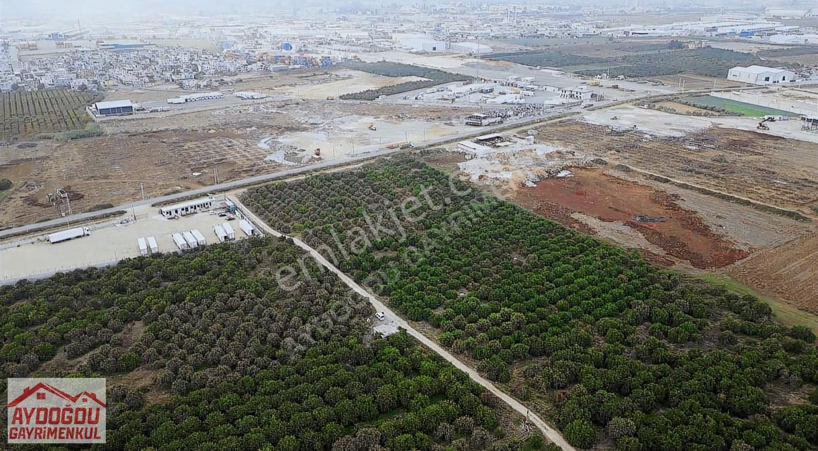 Aydoğdu Gayrimenkulden Bekirde Yolunda Satılık Narenciye Bahçesi - Görsel 3