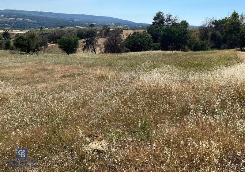 Çanakkale Merkez Aşağıokçular'da Satılık 7650 M2 Arazi - Görsel 2