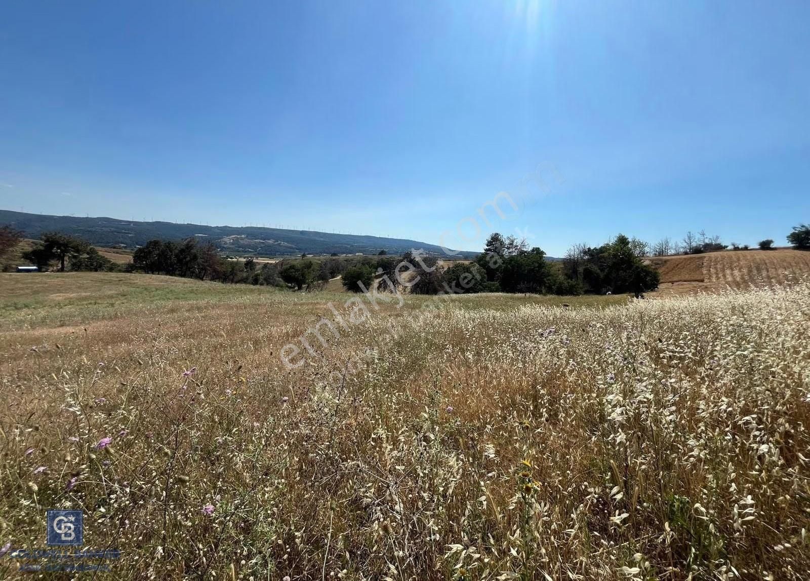 Çanakkale Merkez Aşağıokçular'da Satılık 7650 M2 Arazi