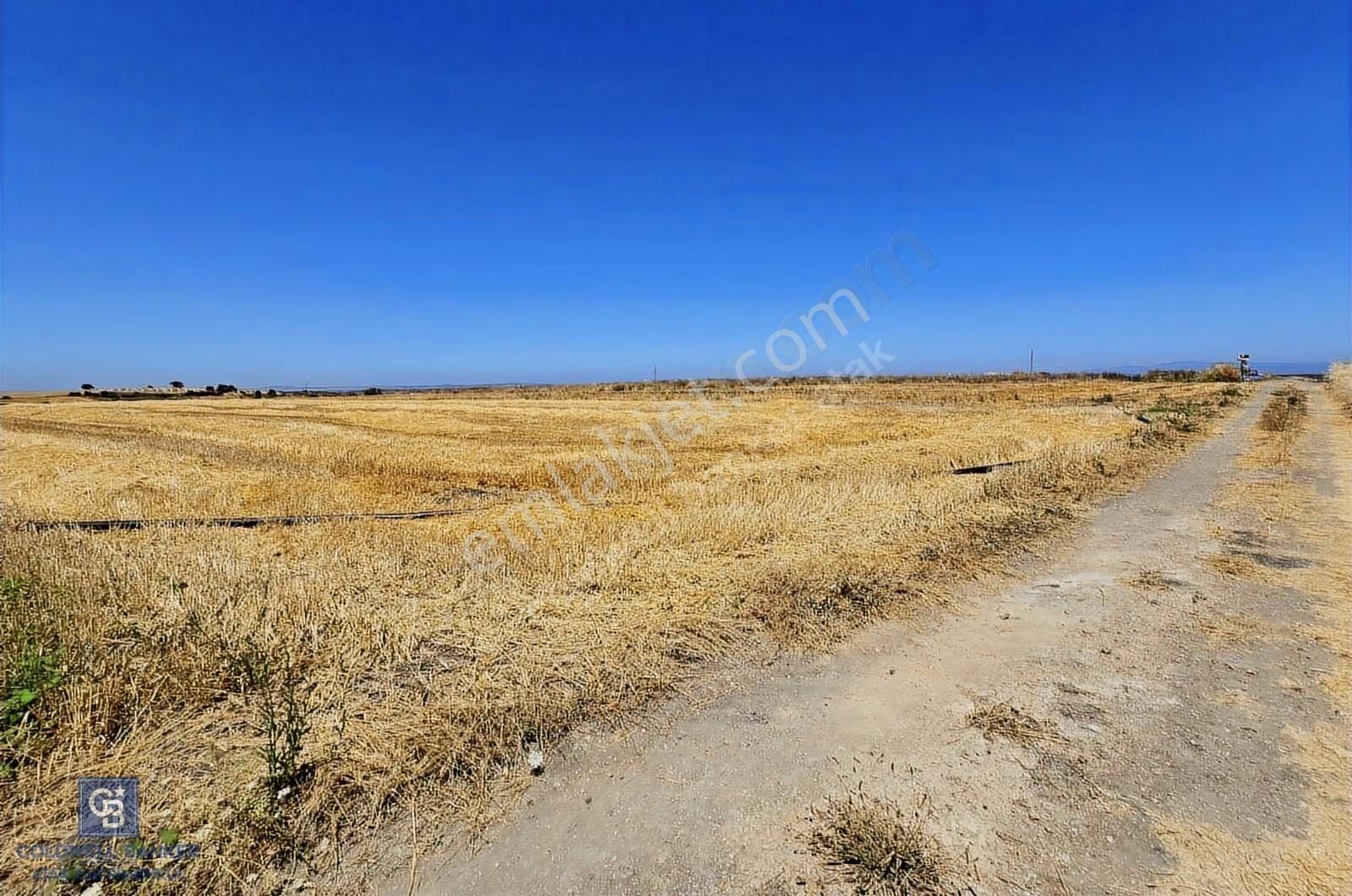 Çanakkale Biga Deniz Kenarı 6.5 Dönüm Tarla - Görsel 4