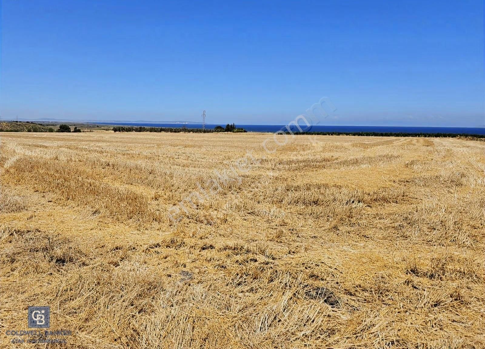 Çanakkale Biga Deniz Kenarı 6.5 Dönüm Tarla