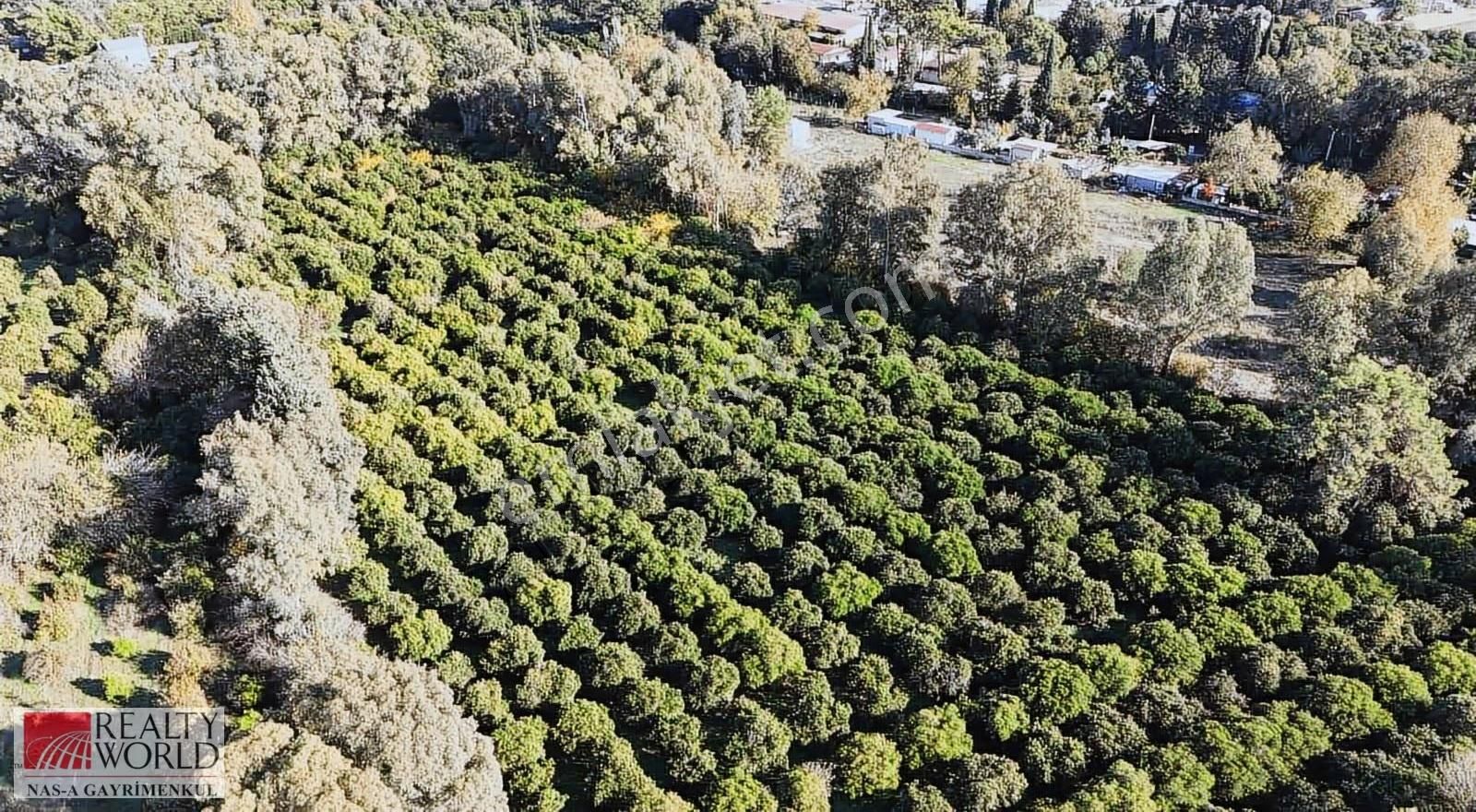 Konyaaltı Zümrüt Mahallesi Satılık Yatırımlık Arsa