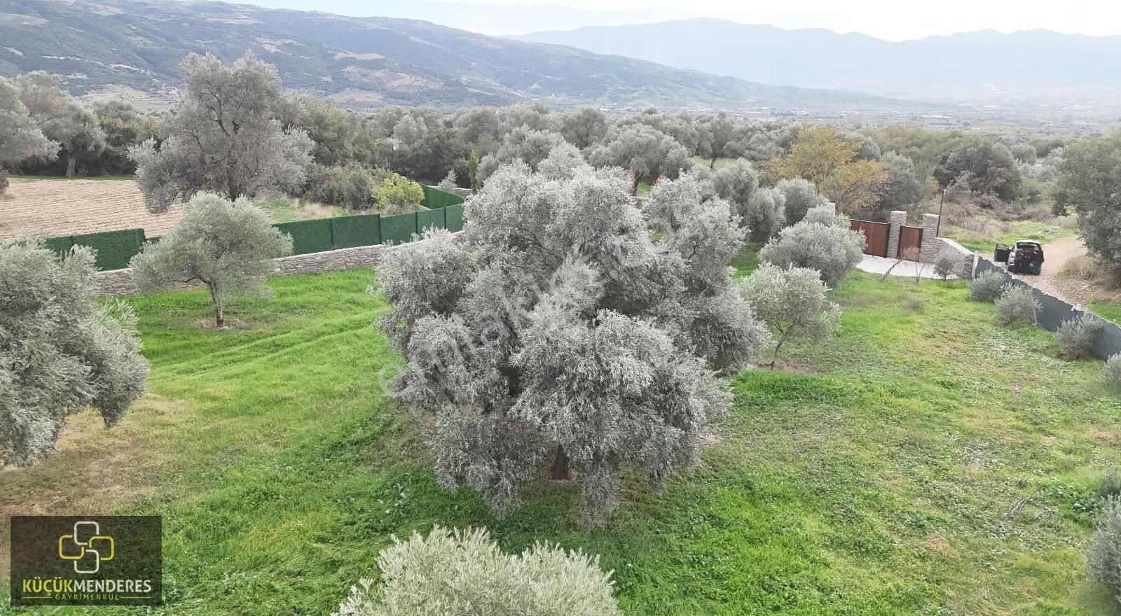 Küçük Menderes'ten Ödemiş Üçkonak Satılık Prefabrik Ev,zeytinlik - Görsel 10