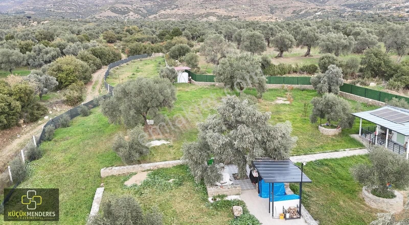 Küçük Menderes'ten Ödemiş Üçkonak Satılık Prefabrik Ev,zeytinlik - Görsel 11