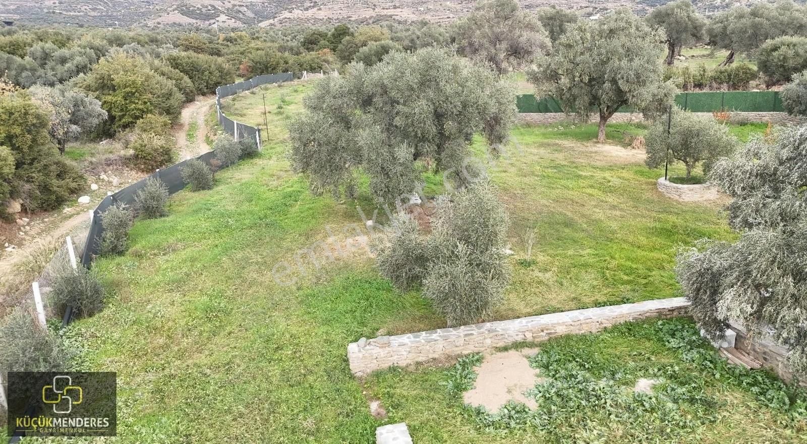 Küçük Menderes'ten Ödemiş Üçkonak Satılık Prefabrik Ev,zeytinlik - Görsel 19